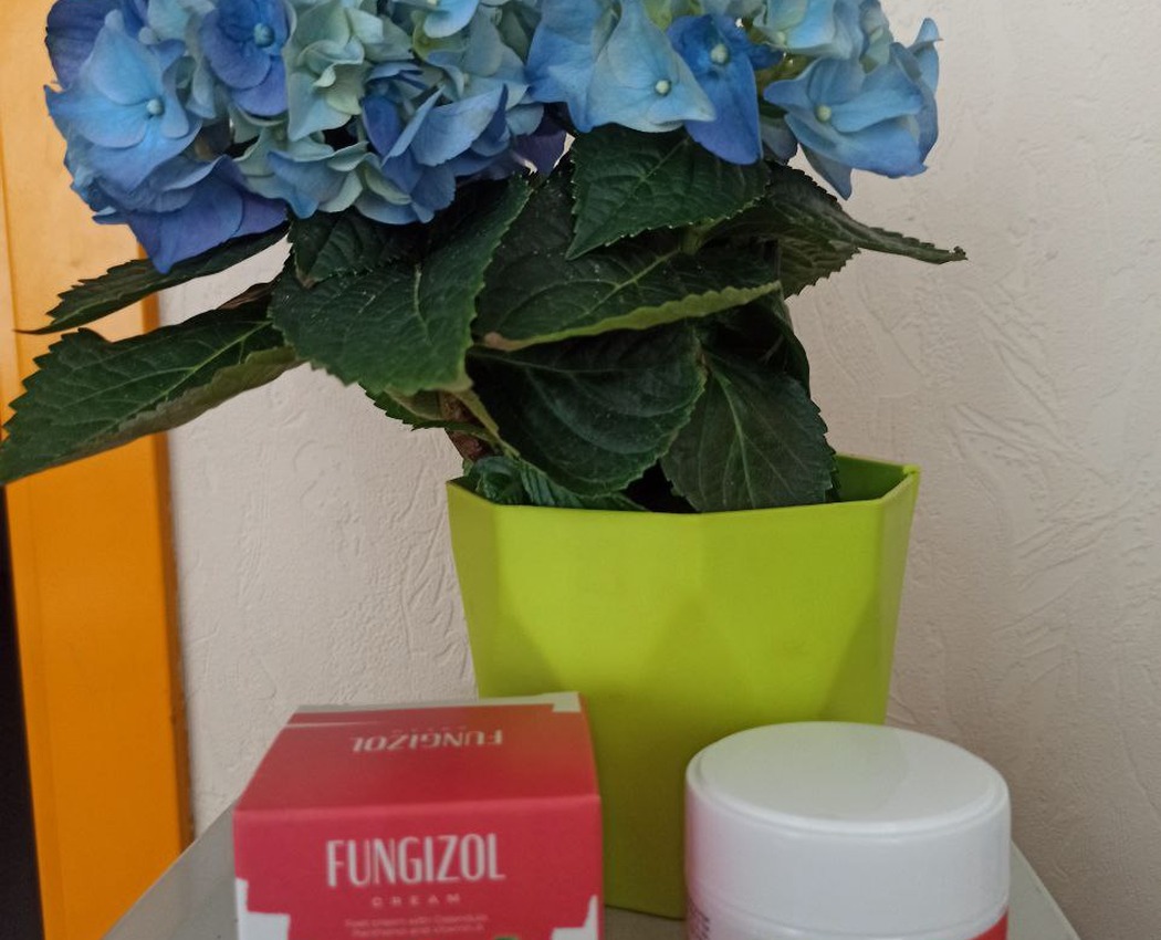 Fungizol